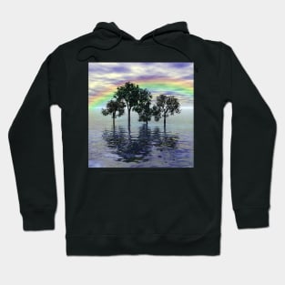 Flooded trees and rainbows Hoodie